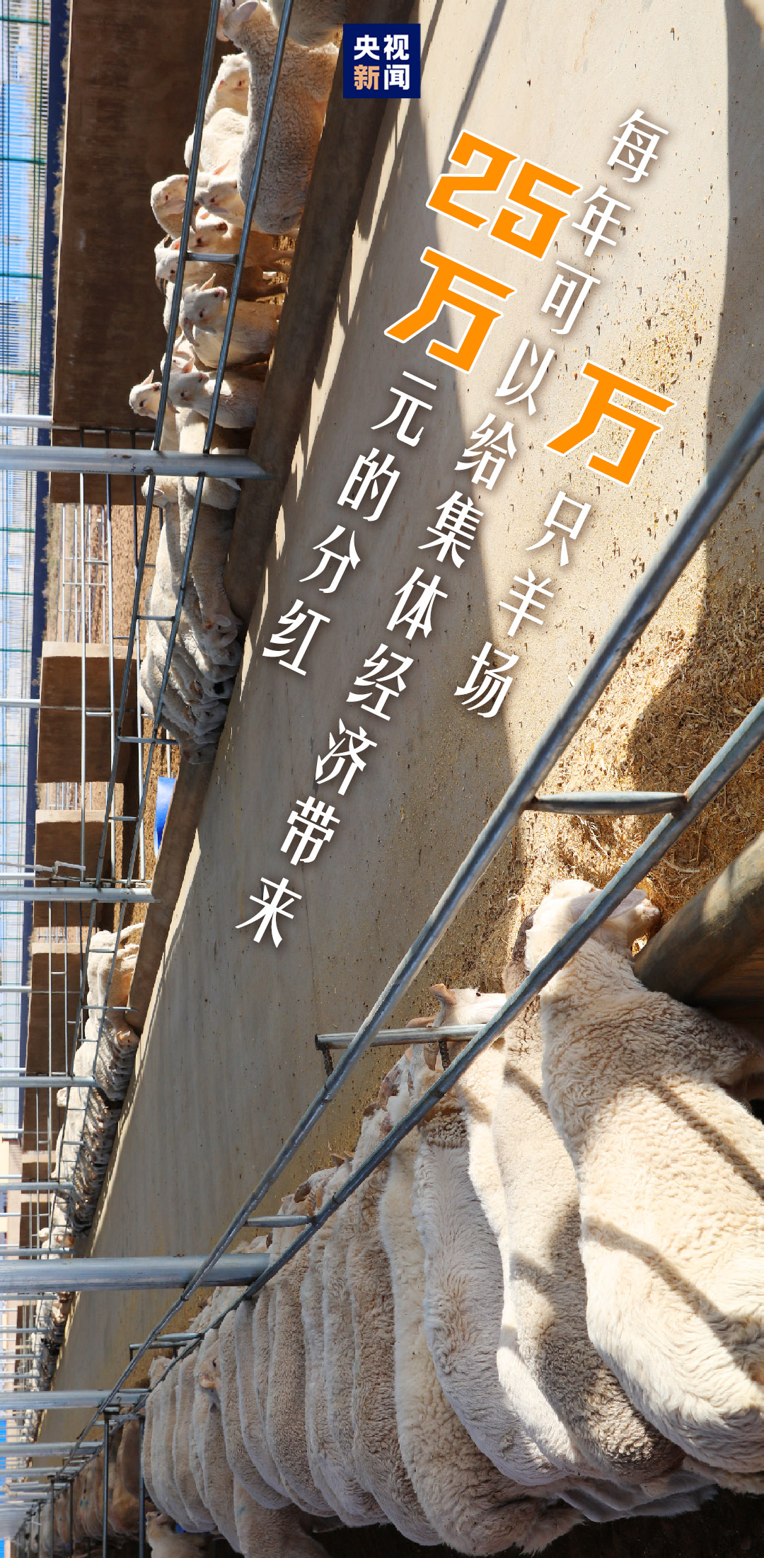 向总书记报告丨富民新村新路子