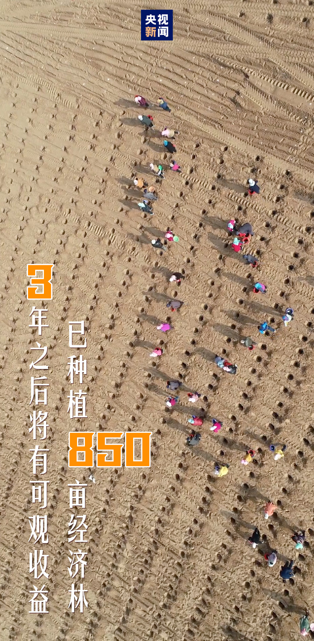 向总书记报告丨富民新村新路子