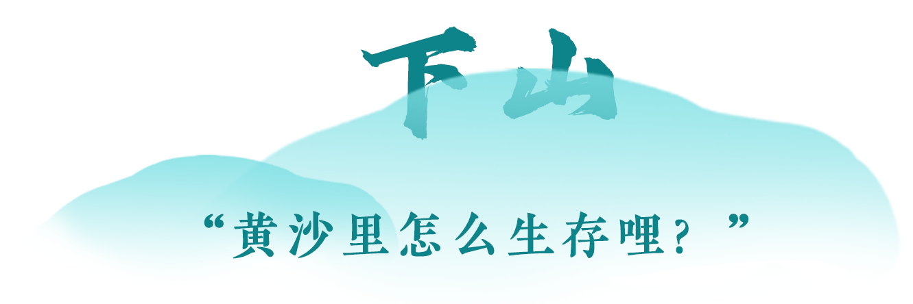 向总书记报告丨富民新村新路子