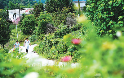 健康扶贫,开对“药方”奔小康(迈向全民健康这五年⑥)