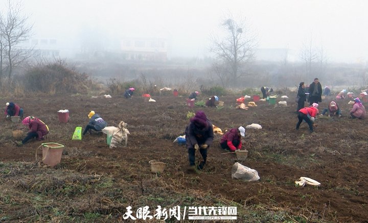 奋斗百年路 启航新征程丨赫章县铁匠乡:一个极贫乡镇的逆势突围