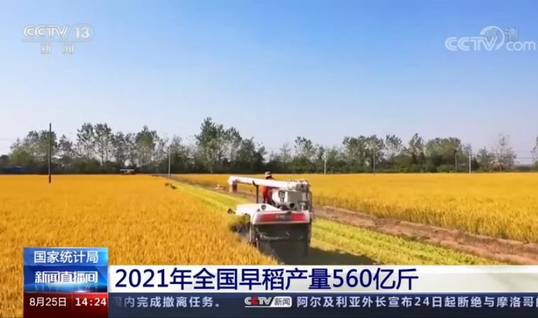 国家统计局 2021年全国早稻产量560亿斤
