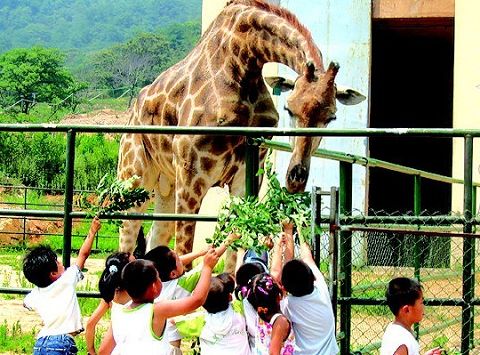 青岛森林野生动物世界