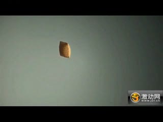 慢镜头下狗狗看见美食的销魂表情