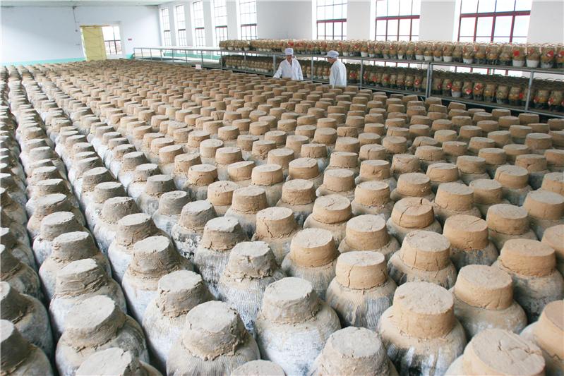 《即墨妙府老酒厂:省级工业旅游示范点》