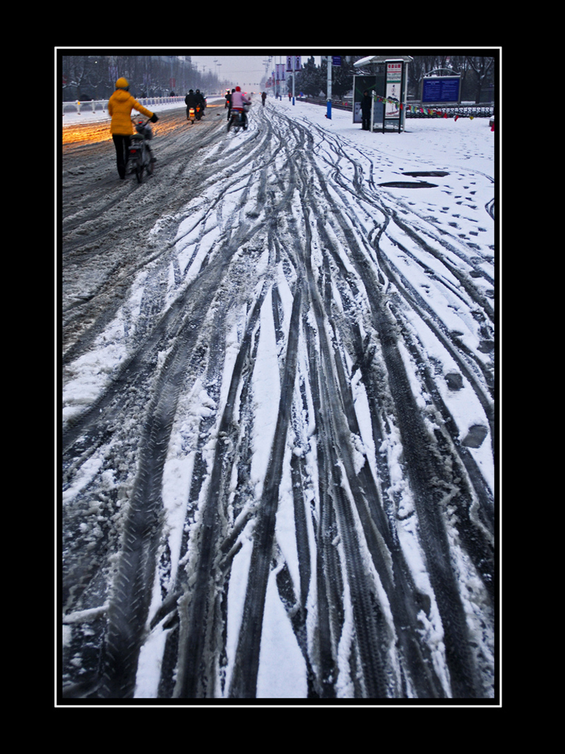 风雪人生路图片