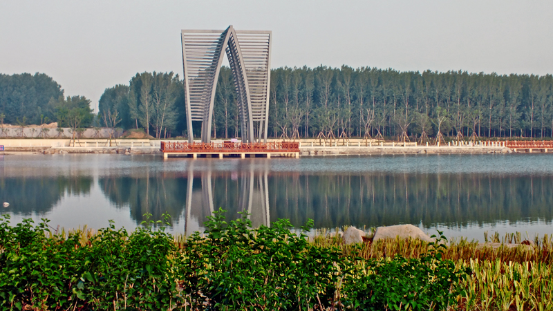 淄博新区南部湿地