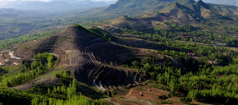 绿遍山原