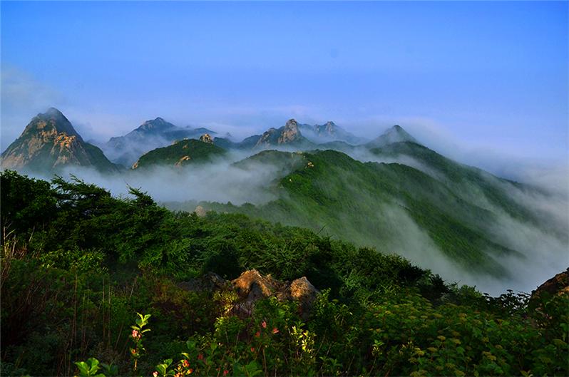 作品简介:                           拍于烟台昆嵛山