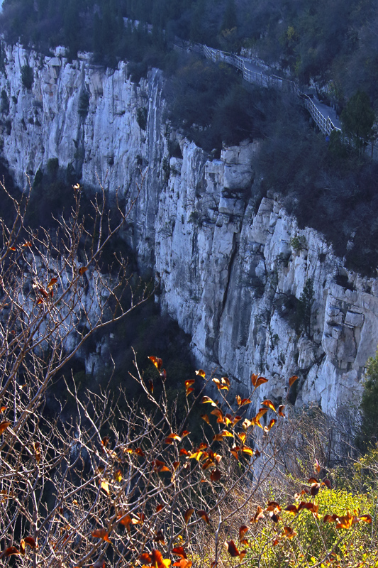 千米画廊-"孔子故乡 中国山东"国际网络摄影大赛官方网站