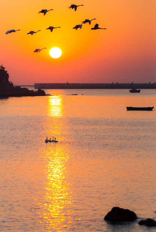 烟墩角的故事-"孔子故乡 中国山东"网络摄影大赛官方网站