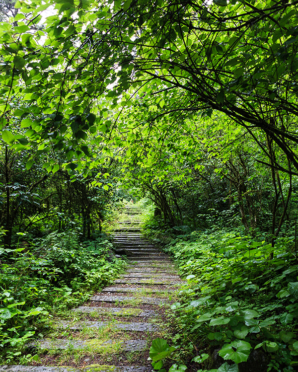 清幽小径-"孔子故乡 中国山东"国际网络摄影大赛官方网站