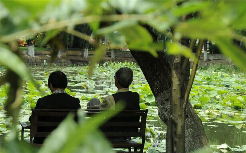 看出他们白头到老的爱情大赛合作伙伴