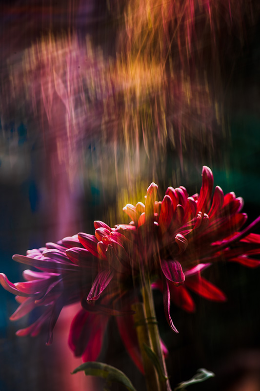 沐浴-"孔子故乡 中国山东"网络摄影大赛官方网站