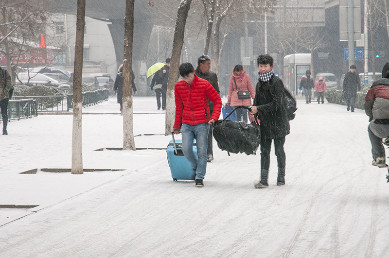 风雪归途图片图片