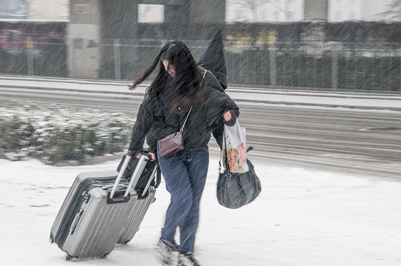 风雪归途