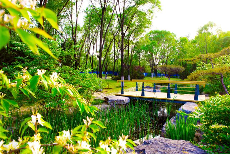 绿树浓荫-"孔子故乡 中国山东"网络摄影大赛官方网站