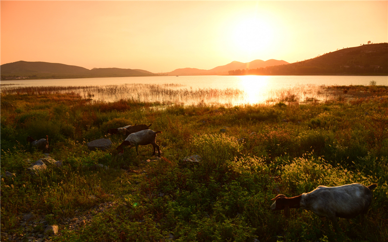 作品简介                           摄于新泰市光明湖