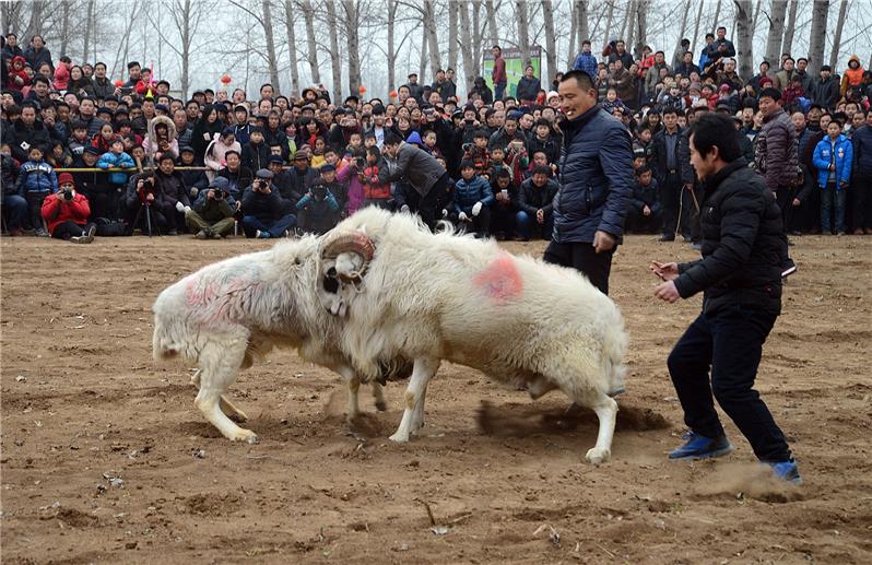 斗羊-"孔子故乡 中国山东"网络摄影大赛官方网站