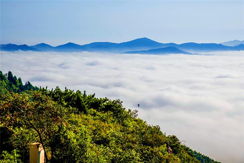 竹山遠眺