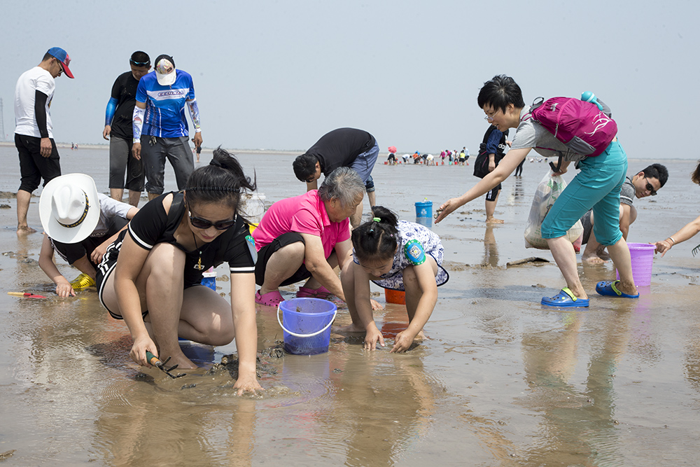 《黄河口赶海》