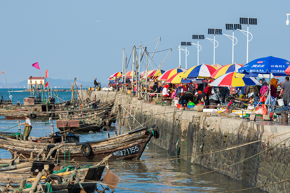 作品简介                          鳌山卫渔村码头