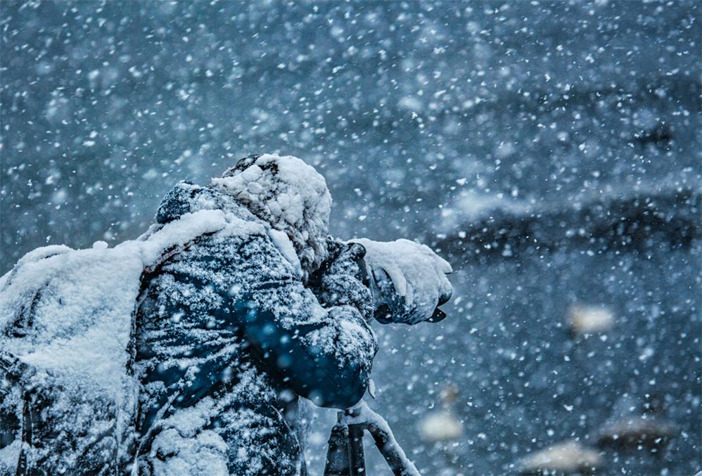 風雪攝鵝人