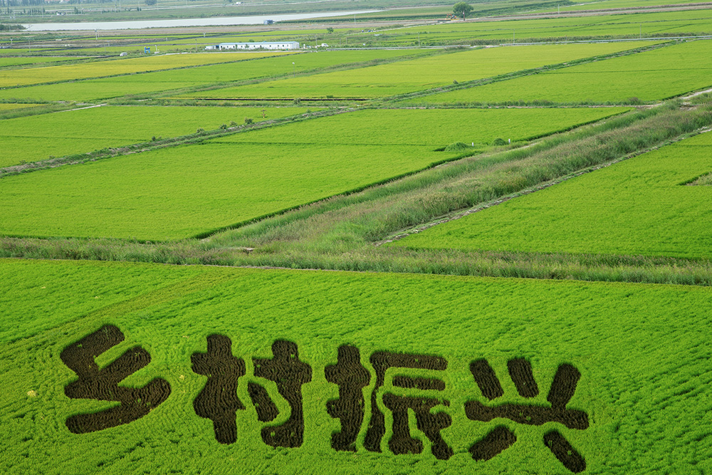 乡村振兴