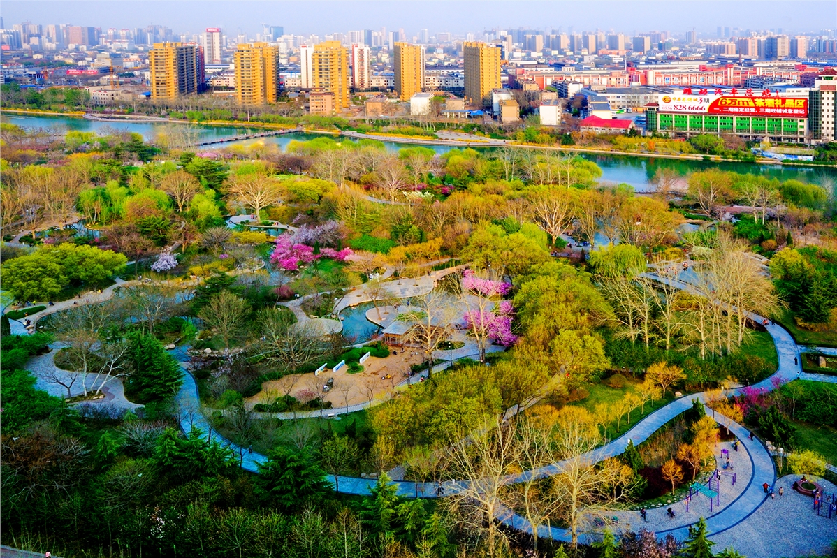 作品人民公园俯瞰