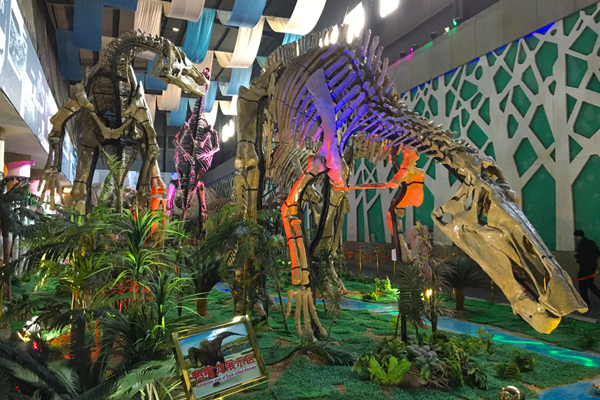 探访潍坊诸城恐龙公园 感受远古时代变迁