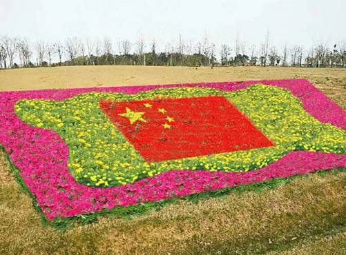 山东草花基地:花海改造设计的方案