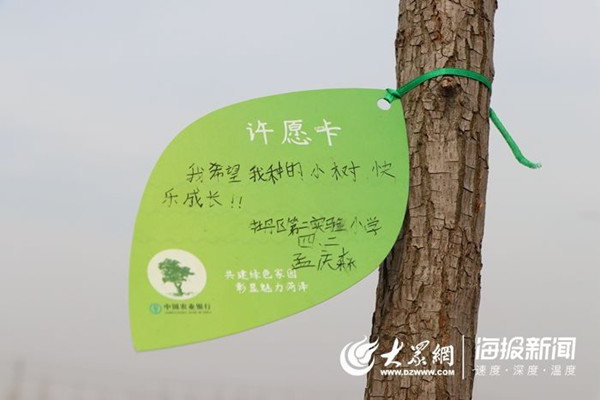 "我希望,我种的小树,快乐成长!