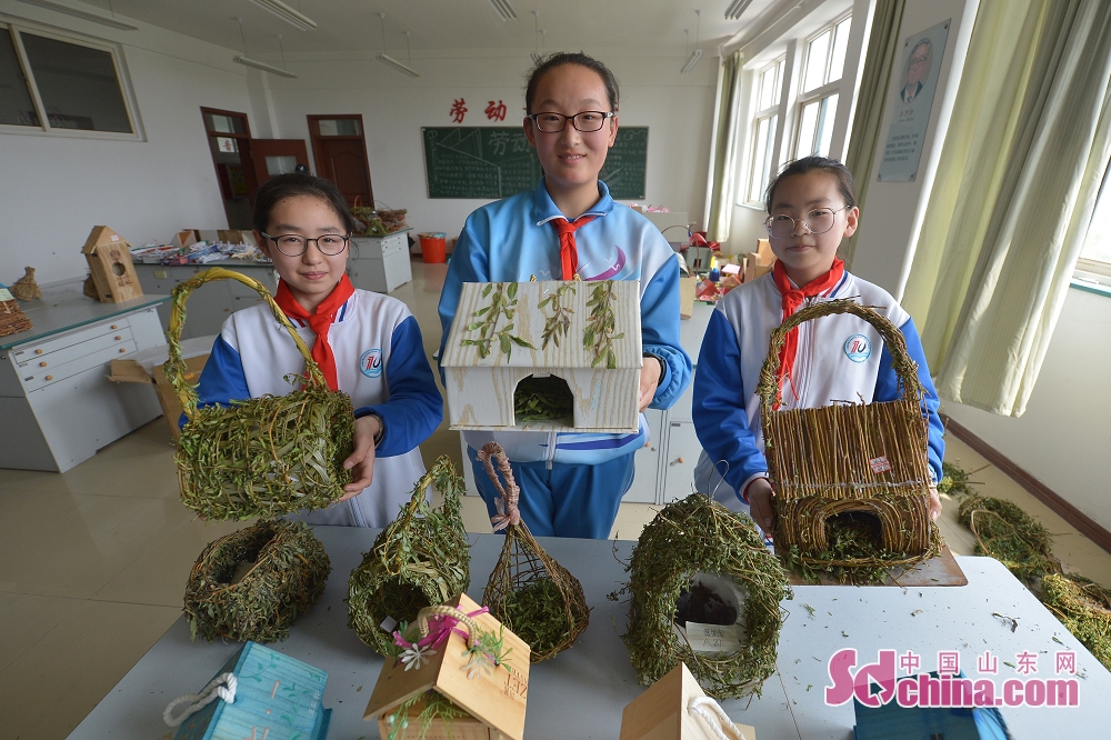 爱鸟周为小鸟建新家共享生态文明