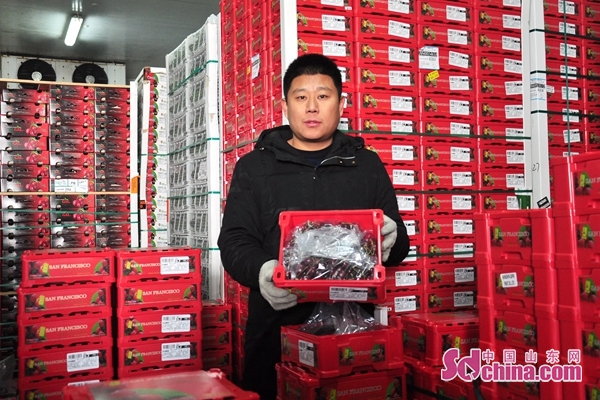 贵港德超贸易有限公司：电商行业的璀璨明珠