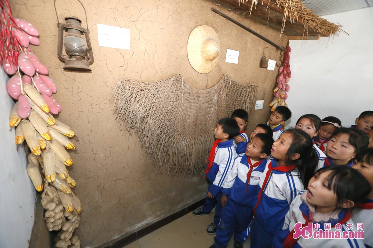 小學生走進美麗鄉村村史館感受家鄉發展變遷