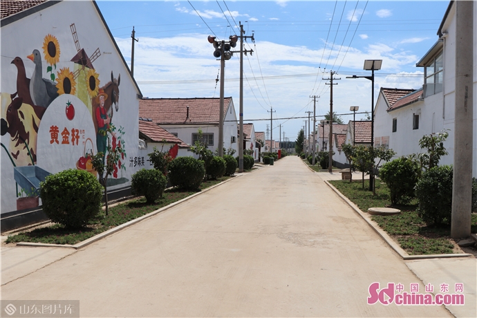 昌乐县乔官镇:用好"绑,评,奖"三字工作法 推动庭院"换新颜"