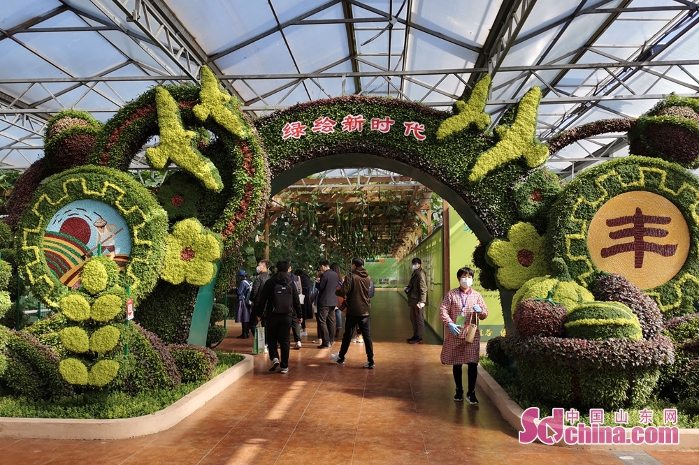 长在空中的红薯可生吃的南瓜寿光菜博会让人一饱眼福