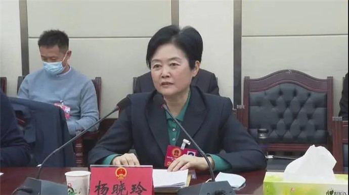 杨晓玲参加菏泽市第十九届人民代表大会第六次会议成武代表团分团会议