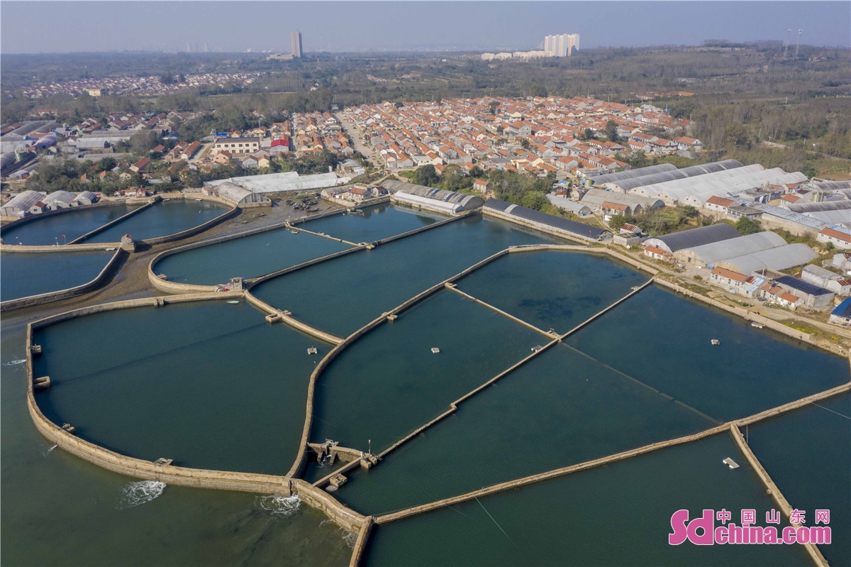 山东青岛海参养殖池宛如蓝色调色盘