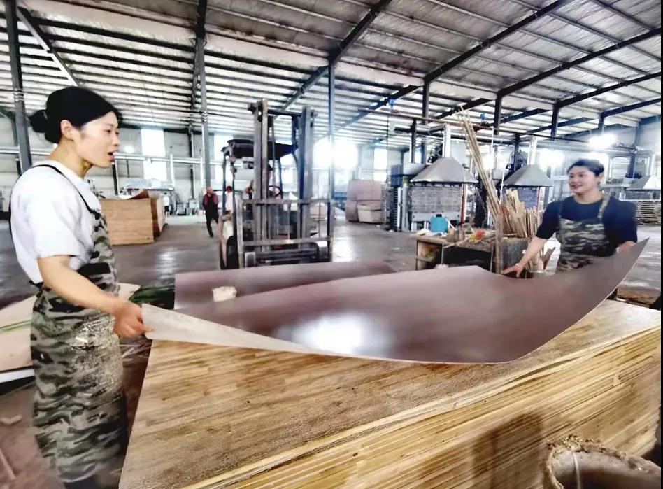 走百村看振兴曹县庄寨镇仝大营村乡村建起工业园区美了村容富了村民