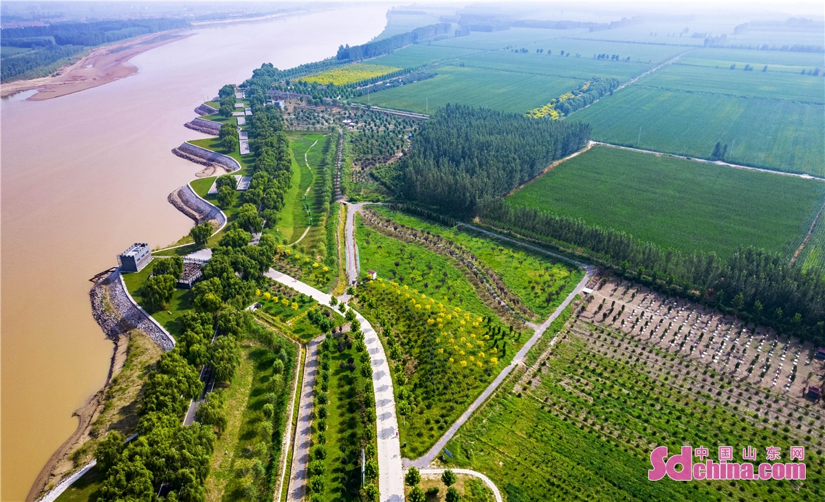  br/>  8月28日,航拍到的山东省邹平市台子镇沿黄生态观光带. br/>