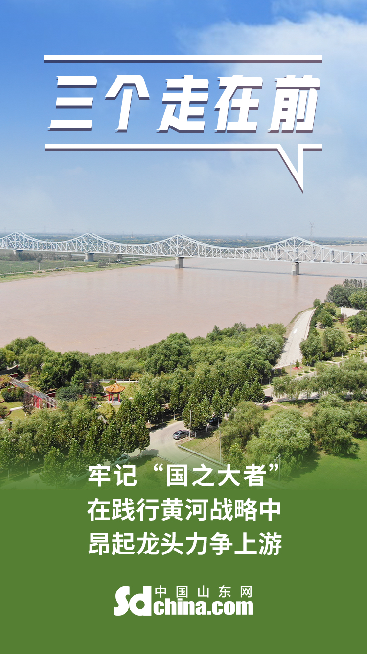 海报在推动黄河流域生态保护和高质量发展上走在前