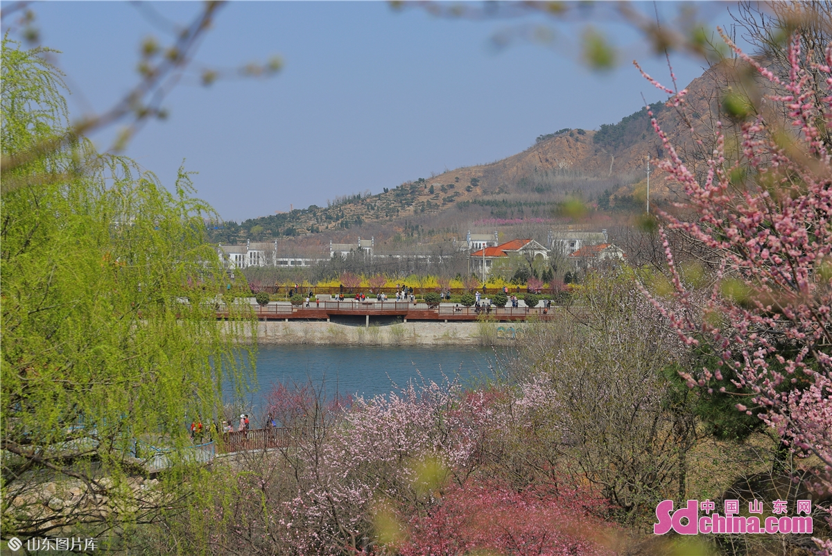 青岛十梅庵风景区图片图片