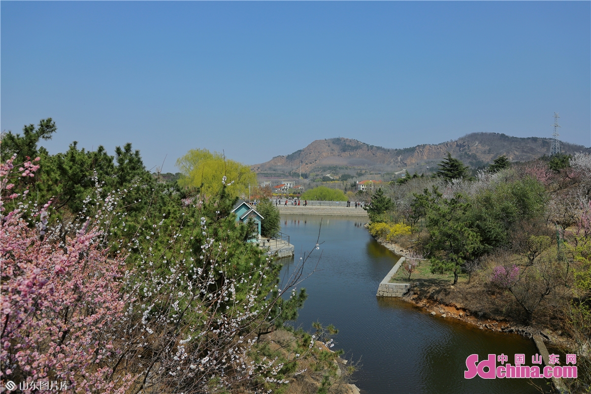 青岛十梅庵风景区图片图片