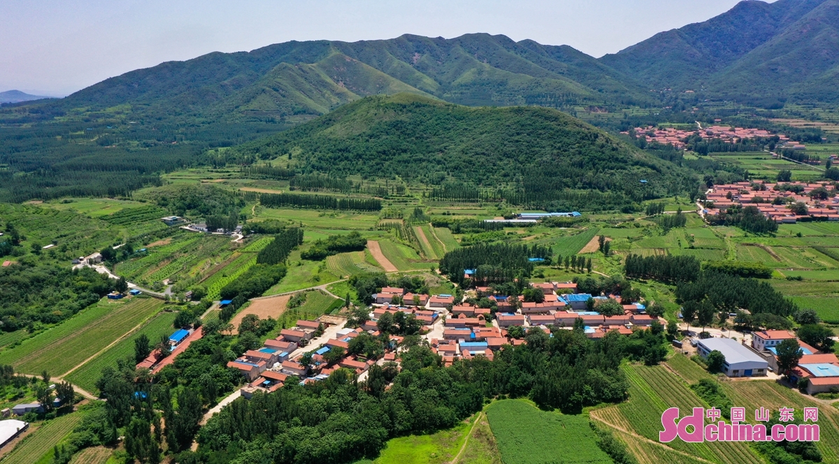 山东邹平多举措建设山区美丽生态示范区