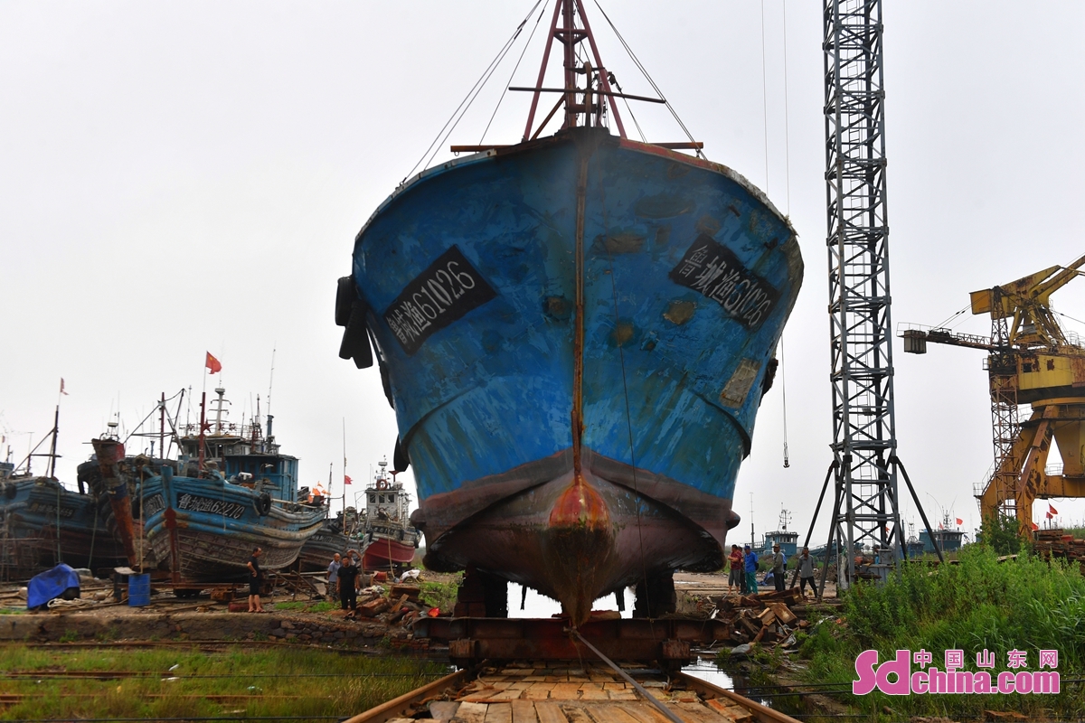  br/>  在青岛市城阳区河套街道的一家渔船修造厂,工人将这艘大型渔船