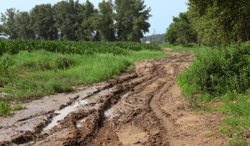 90年初,每天在学校,家两头乡间小路上奔走,眼见这条路的变化.