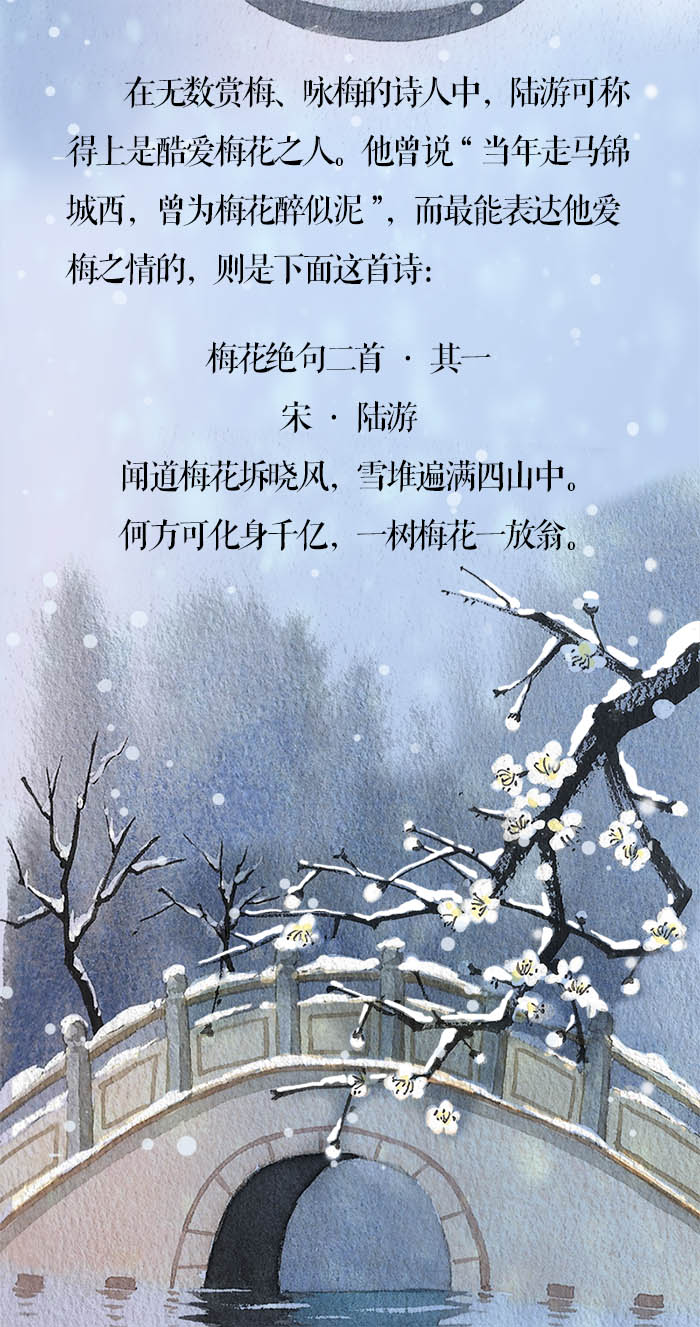 小寒61长卷丨梅花先趁小寒开到诗词里踏雪寻梅