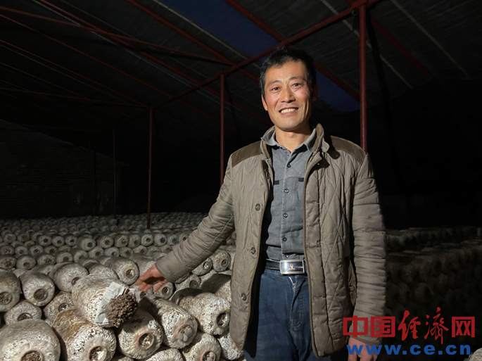 图为郝永红在自己家里的蘑菇大棚内. 经济日报-中国经济网梁木摄