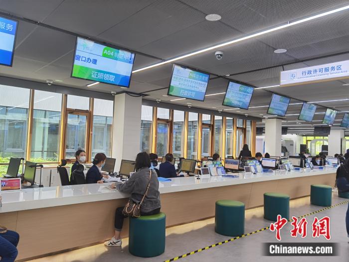 【续写更多春天的故事 走进经济特区国家级新区】雄安新区:政务服务优